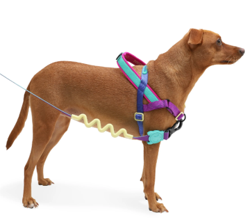 Zee.Dog Шлея для собак Mellow Softer Walk Harness