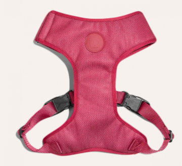 Zee.Dog -  Шлея для собак Bordeau Adjustable Air Mesh Harness