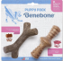 Benebone Puppy 2-Pack Maplestick Zaggler Bacon