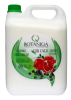 Кондиціонер для зволоження шерсті собак Botaniqa For Ever Bath Acai and Pomegranate Conditioner