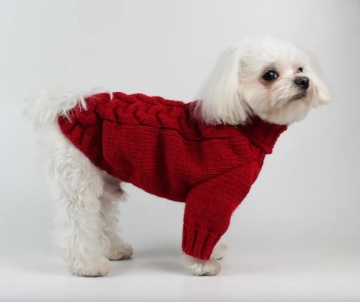 Dogs Bomba свитер вязаный Косичка красный