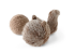 Пошукова іграшка для собак SQUIRREL POP Lambwolf