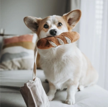 Поисковая игрушка для собак Mini Baguette Lambwolf