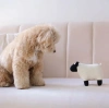 Іграшка для собак Ягнятко DOLLY Lambwolf
