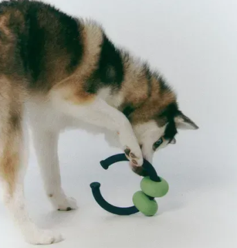 Інтерактивна іграшка для собак Dango Ring Roika