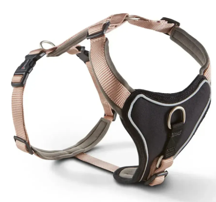 Шлейка Wolters Professional Comfort для собак, смягченная Шампань
