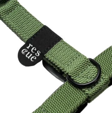 Повсякденна шлейка для собак Cloud7 Rescue Basic Harness Зелений