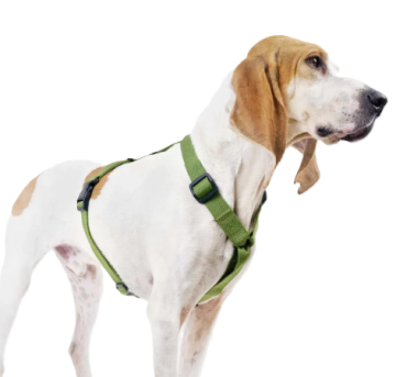 Повсякденна шлейка для собак Cloud7 Rescue Basic Harness Зелений