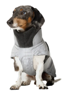 Рефлективна утеплена куртка для такс і схожих порід собак Cloud7 Brooklyn Dachshound Сірий