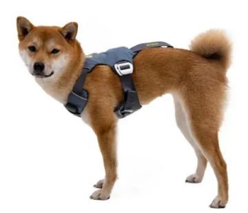 Автошлейка Ruffwear Load Up Синяя