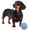 Іграшка м'ячик з отвором для ласощів для собак Beco Pets Wobble Ball Блакитний
