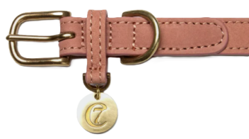 Нашийник для собак Cloud7 Tiergarten Персиковий