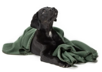 Плед для собак Cloud7 Зелений