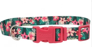 Coastal Pet Attire Style ошейник для собак