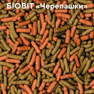 Природа в палочках Биовит «Черепашки»