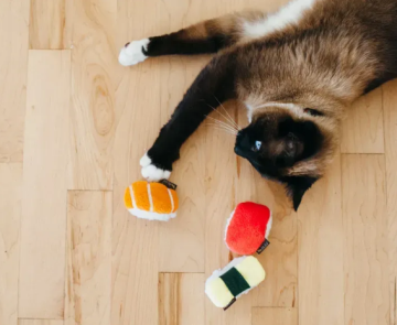 Игрушка для кошек Feline Frenzy - Sassy Sushi Pet Play