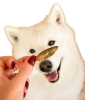 Натуральні сушені ласощі для собак Cooka's Cookies Gone Fishing 100% риба