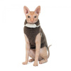 Свитер для кота Pet Fashion CAT