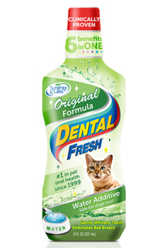SynergyLabs Dental Fresh Cat