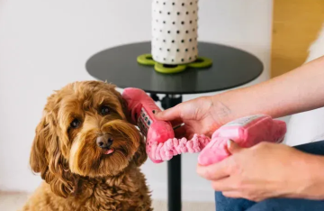 Игрушка для собак 80s Classics - Corded Phone Pet Play