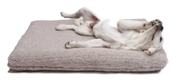 Лежак для собак Cloud7 Siesta Сірий Тедді
