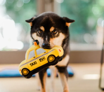 Игрушка для собак Canine Commute Collection - New Yap City Taxi Pet Play