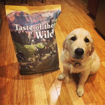 Taste of the Wild High Prairie Puppy Formula для щенков с бизоном и запеченной косулей