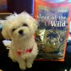 Taste of the Wild High Prairie Puppy Formula для цуценят з бізоном та запеченою козулею