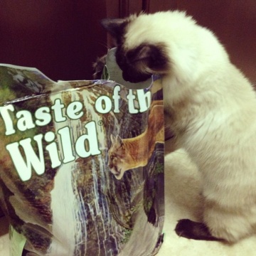 Taste of the Wild Rocky Mountain Feline