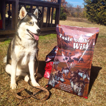 Taste of the Wild Southwest Canyon Canine с кабаном