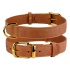 Нашийник для собак шкіряний BronzeDog Crazy тауні