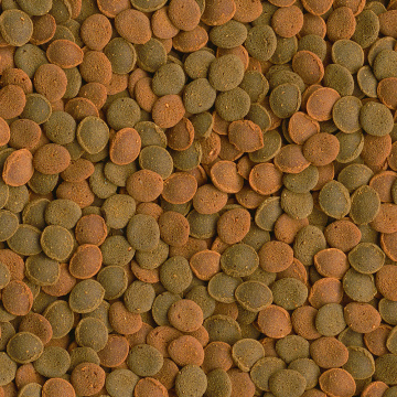 Tetra TetraWafer Mix