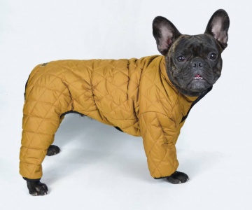 DogsBomba Комбинезон двусторонний стеганый горчичный