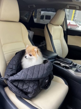 DogsBomba сумка автогамак, черный