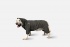 Noble Pet Комбинезон Travis Khaki