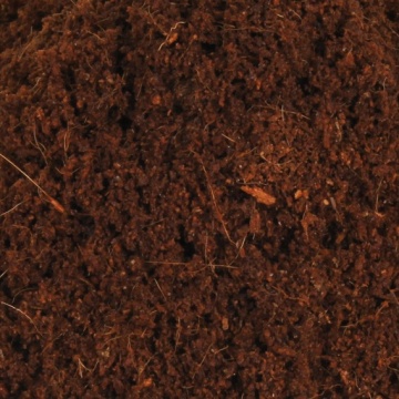 Trixie Coco Soil