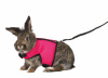 Trixie Шлейка-жилетка для кролика Максі