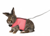 Trixie Шлейка-жилетка для кролика Макси