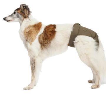 Гигиенические трусы для собак Cloud7 Panties Оливковый