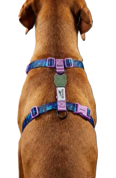 Шлея для собак Zee.Dog & REEBOK TREKK