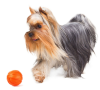 Мячик COLLAR ЛАЙКЕР Оранжевый