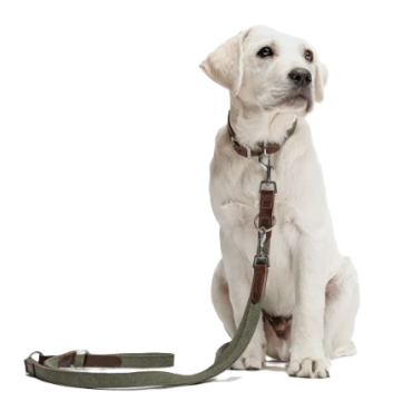 Поводок для собак Cloud7 Tivoli Оливковый