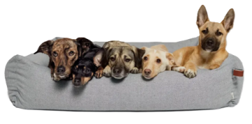 Лежак для собак Cloud7 Sleepy Deluxe Сірий