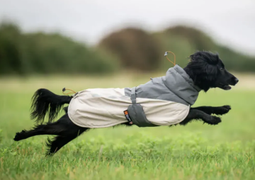 Зимняя куртка для собак Glacier wool jacket 3.0 Non-stop dogwear Серый