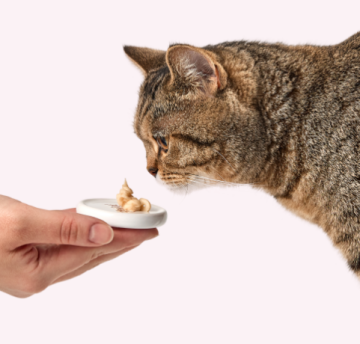 Delickcious Кремові ласощі – ягня з додаванням коричневого рису та цукіні