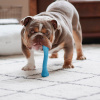 Jolly Pets Flex-N-Chow Large Гнучка іграшкова кістка для собак