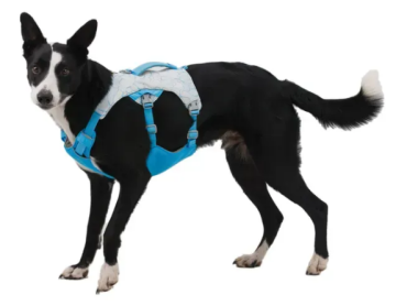 Охолоджувальна шлейка для собак Ruffwear Swamp Cooler Блакитний