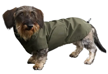 Дощовик для такс і схожих порід собак Cloud7 Dublin 2.0 Dachshund Оливковий