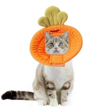 Ветеринарный воротник для кошек и маленьких собак Derby Carrot