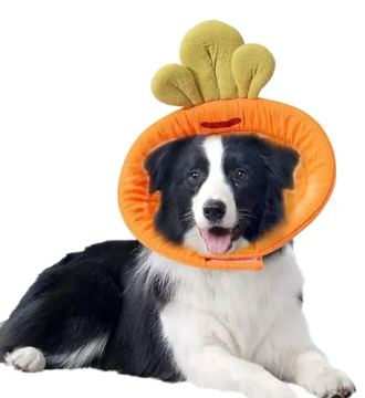 Ветеринарный воротник для кошек и маленьких собак Derby Carrot